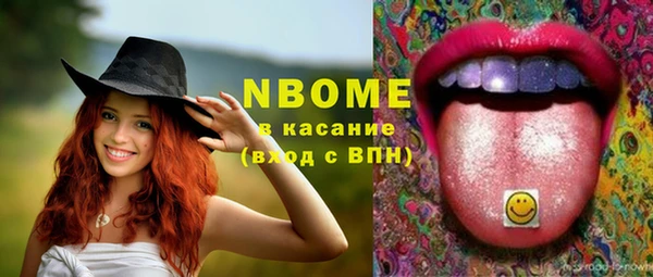 индика Вяземский