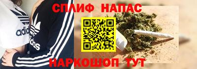 a pvp Дубна