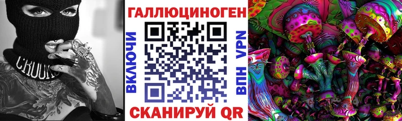 Псилоцибиновые грибы Cubensis  Нефтекамск 