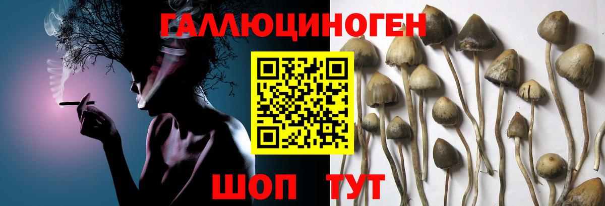 Галлюциногенные грибы Cubensis  Вход с VPN  Нефтекамск 