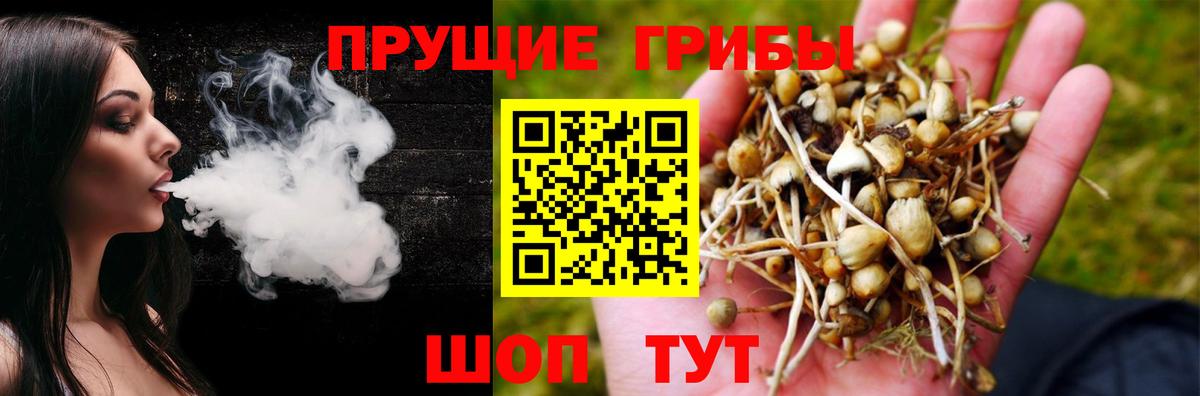 Галлюциногенные грибы MAGIC MUSHROOMS Нефтекамск