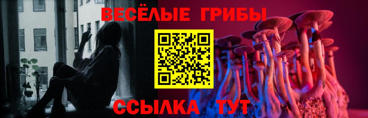 купить   Нефтекамск  Псилоцибиновые грибы Psilocybe 